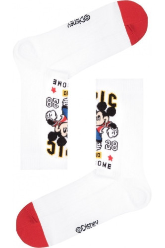 Шкарпетки чоловічі Diwari Disney 17С-168СПМ (370)