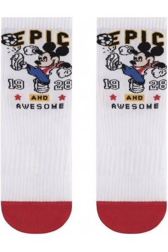 Шкарпетки чоловічі Diwari Disney 17С-168СПМ (370)